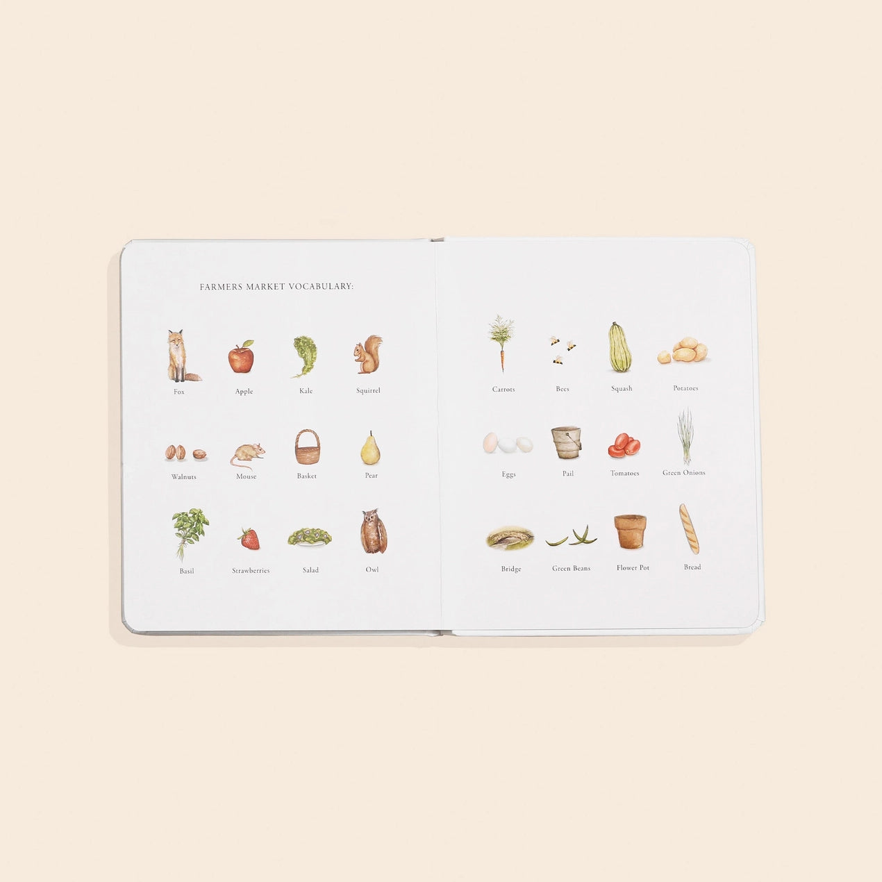 Adventure to the Farmers Market Book